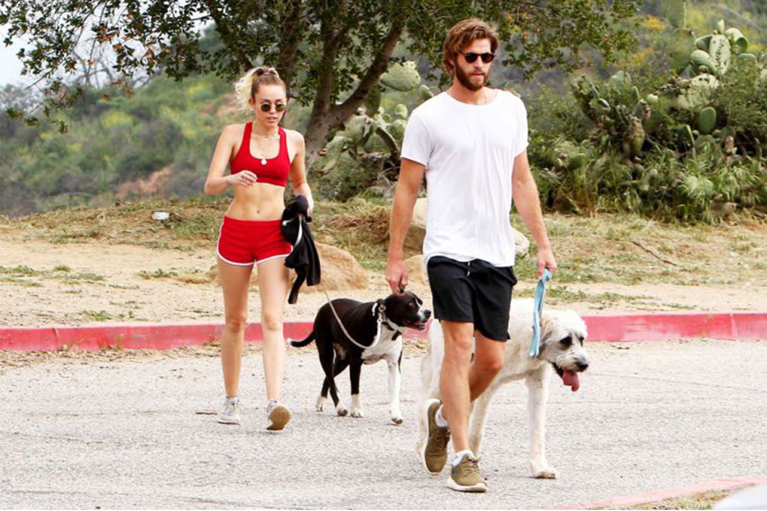 Miley Cyrus and Liam Hemsworth said to be in a 'custody battle' over their  pets | WHO Magazine