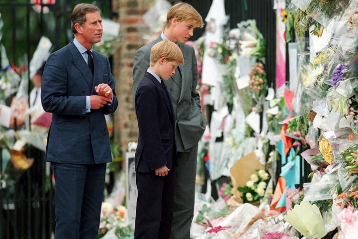 harry-william-charles-grief